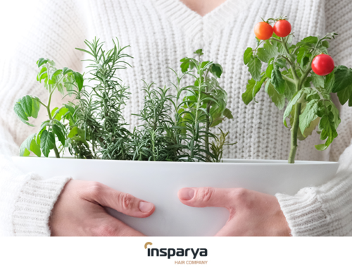 Remédios caseiros para queda de cabelo: tratamentos naturais e eficazes